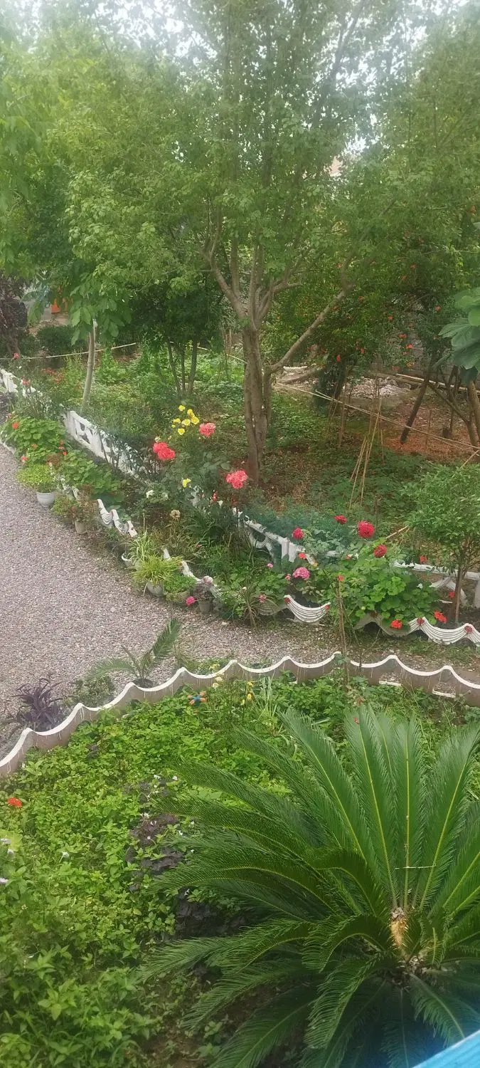 تصویر املاک 67221