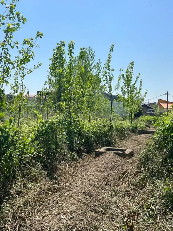 تصویر املاک 97865