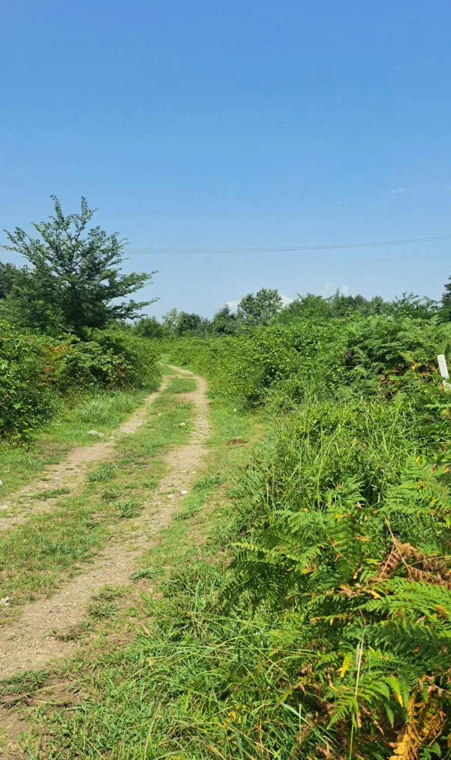 تصویر املاک 106475