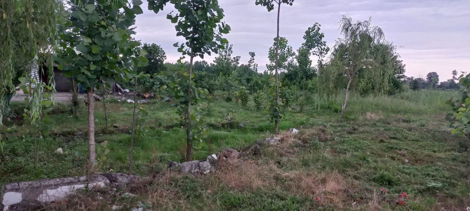 تصویر املاک 123741