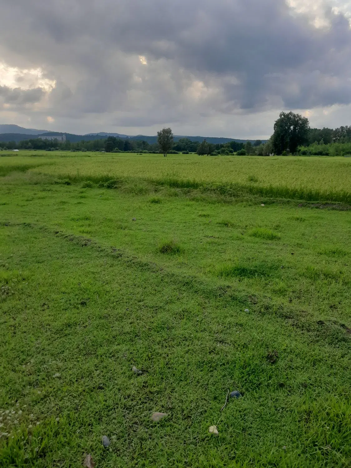 تصویر املاک 129555
