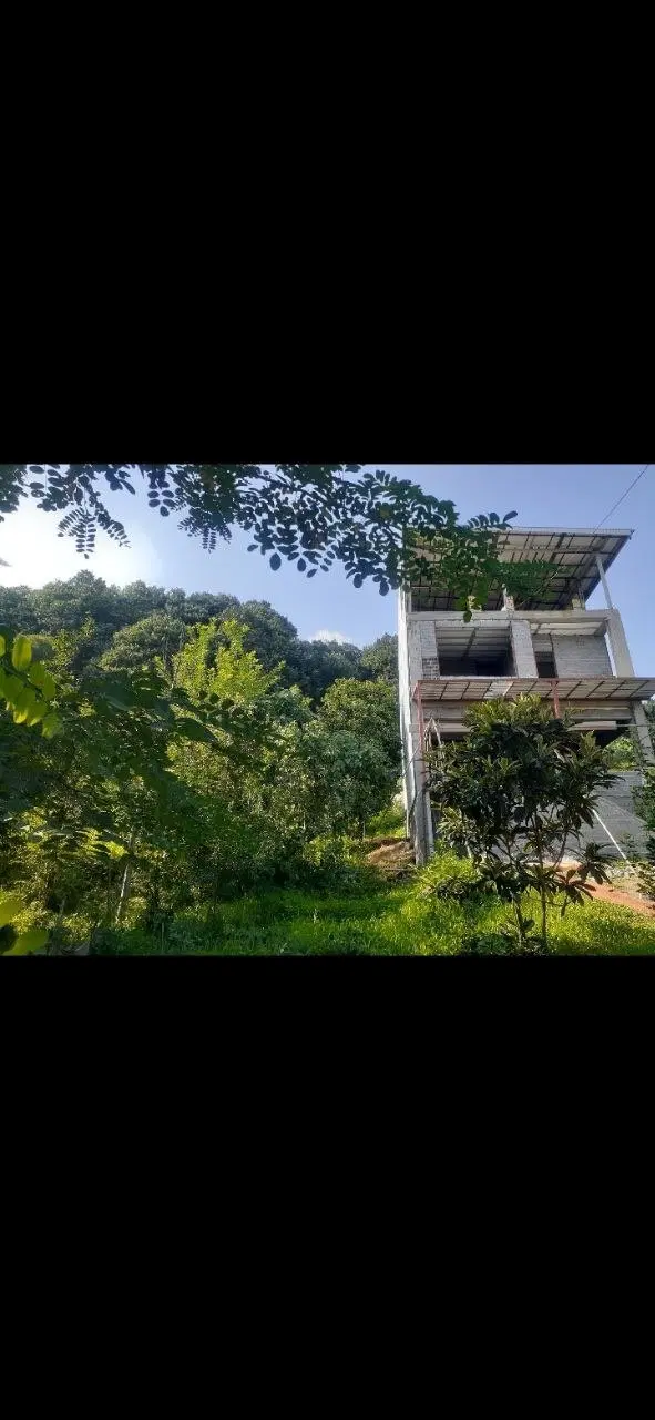 تصویر املاک 94848