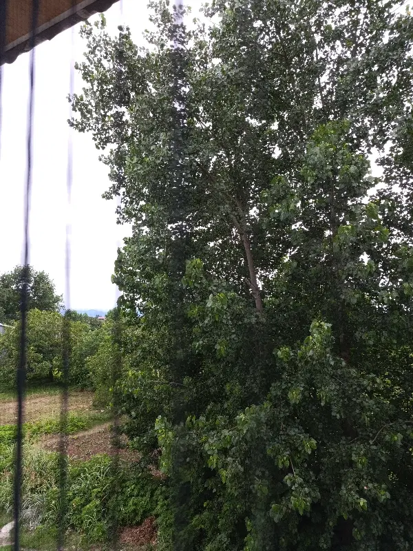 تصویر املاک 83381