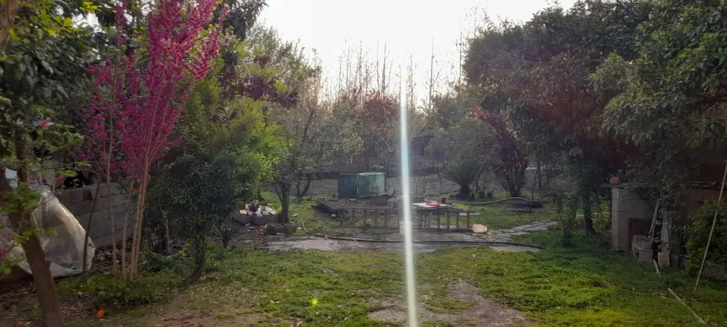 تصویر املاک 142388