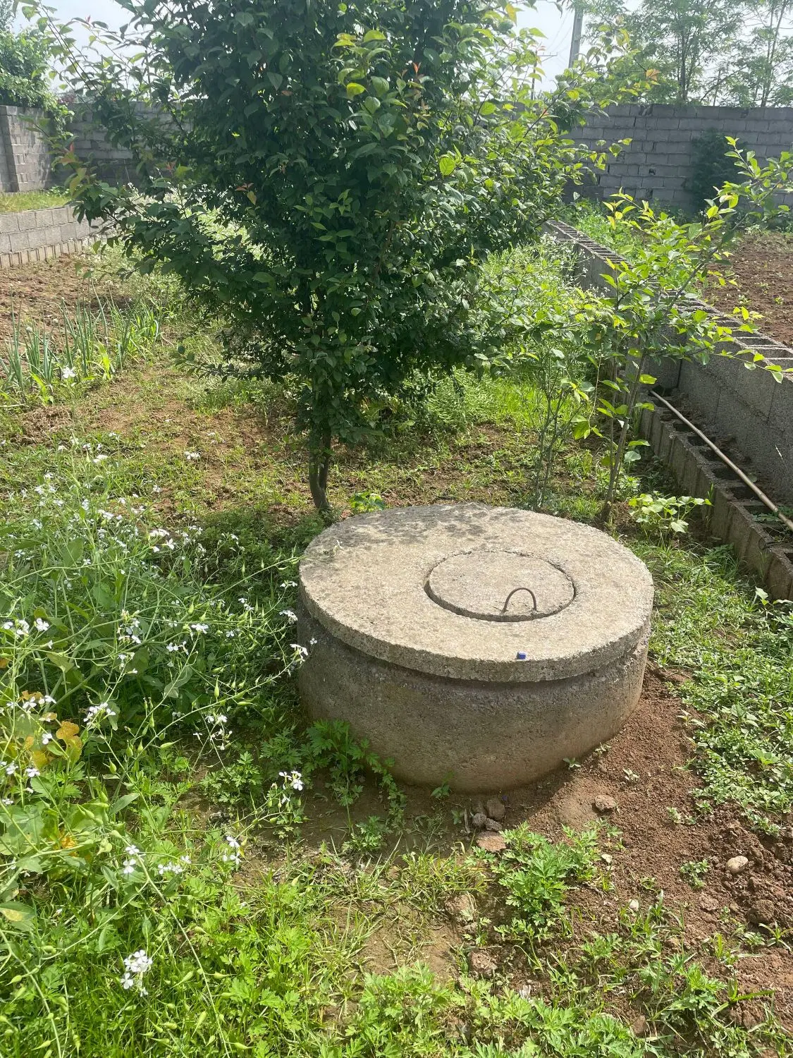 تصویر املاک 104723