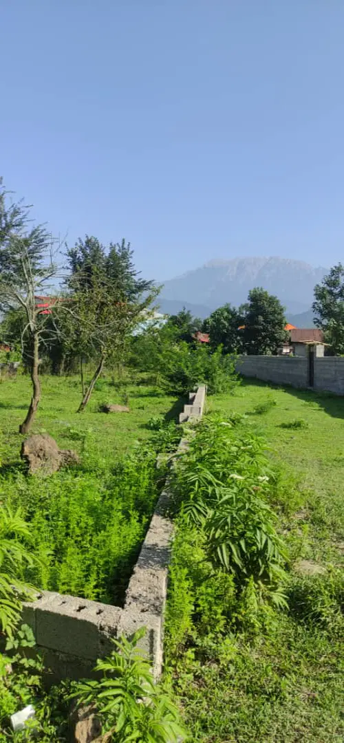 تصویر املاک 65052