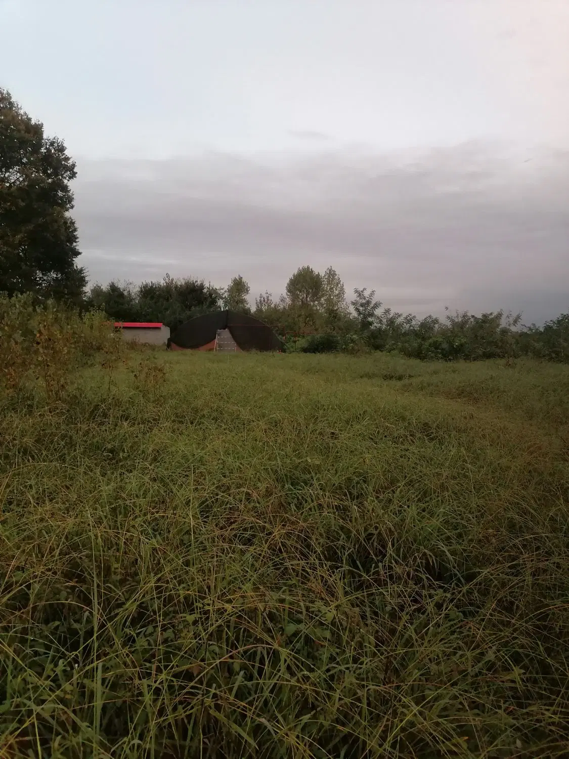 تصویر املاک 90210