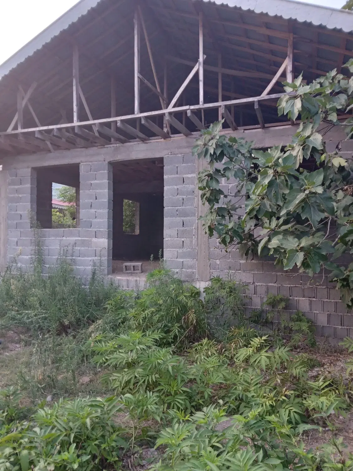 تصویر املاک 108835
