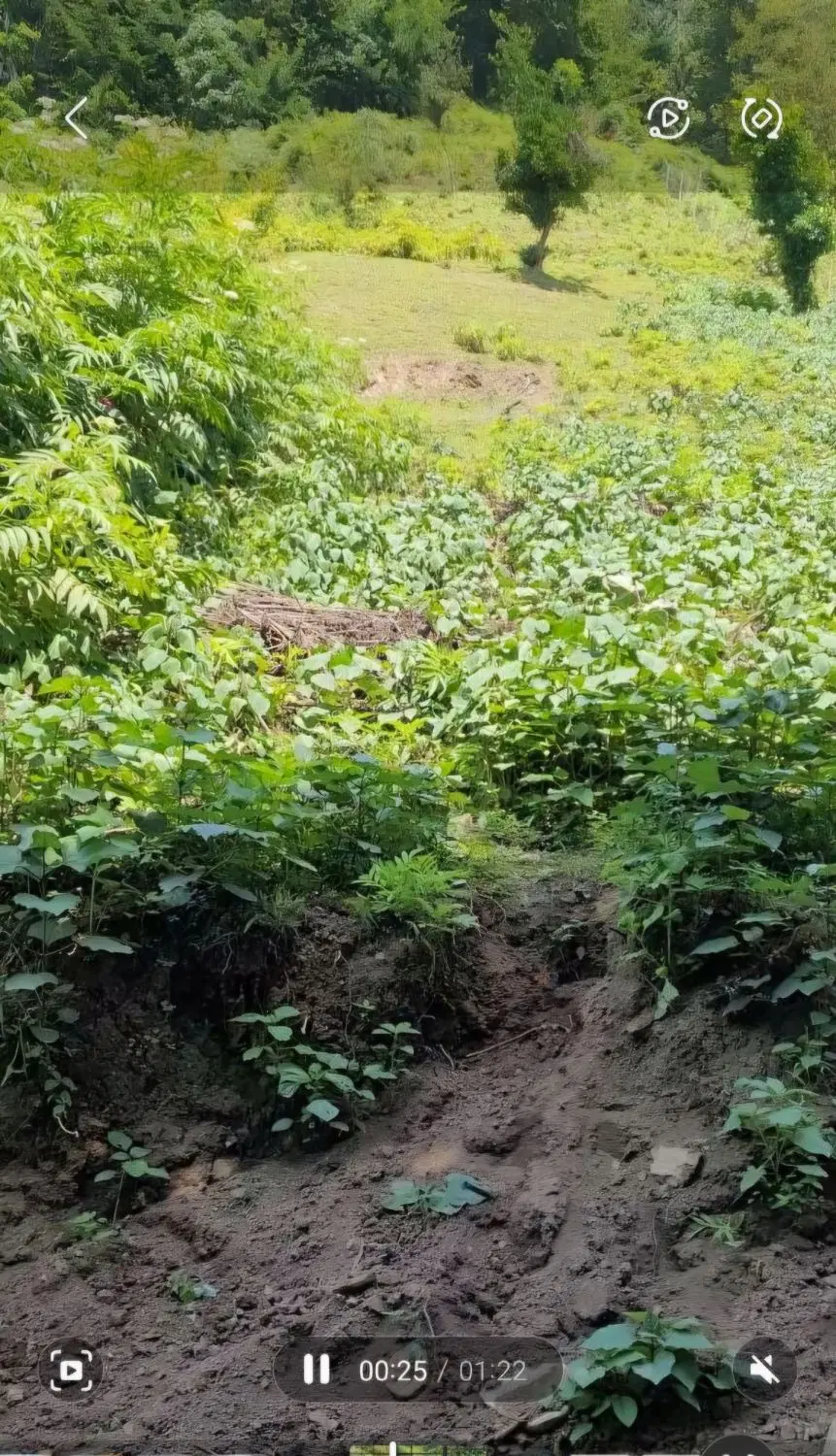 تصویر املاک 123742