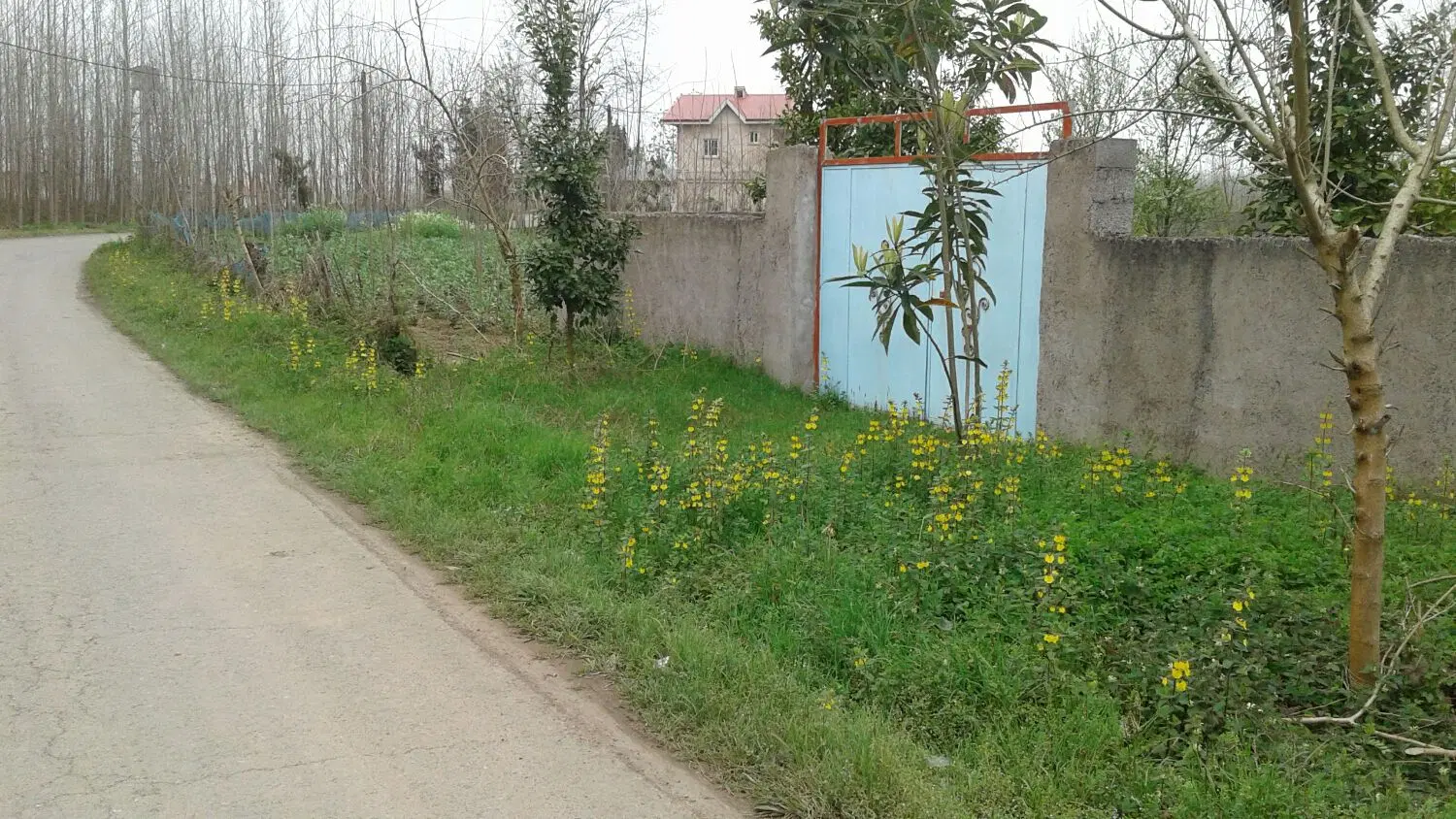 تصویر املاک 123951