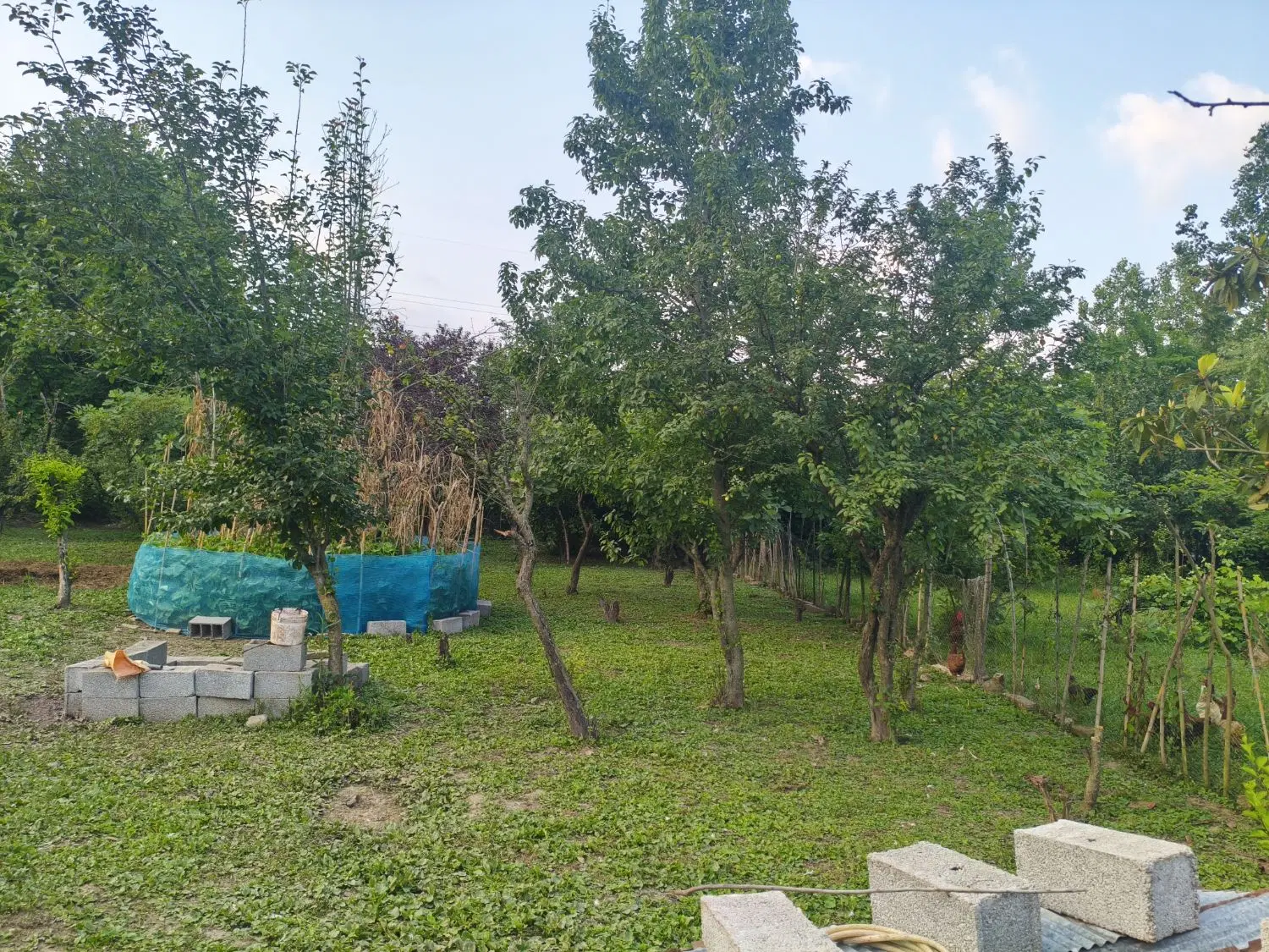 تصویر املاک 65038