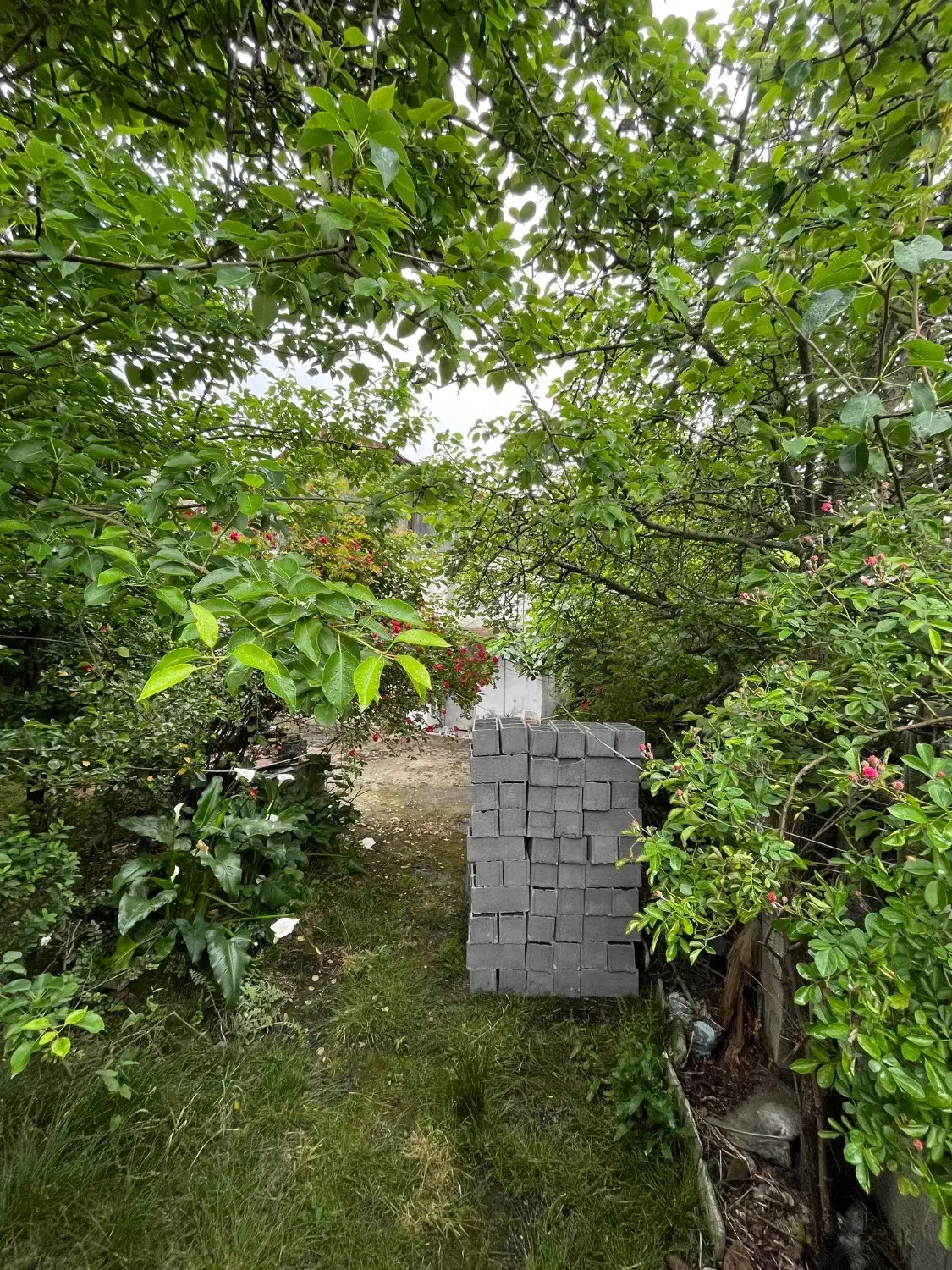 تصویر املاک 38762