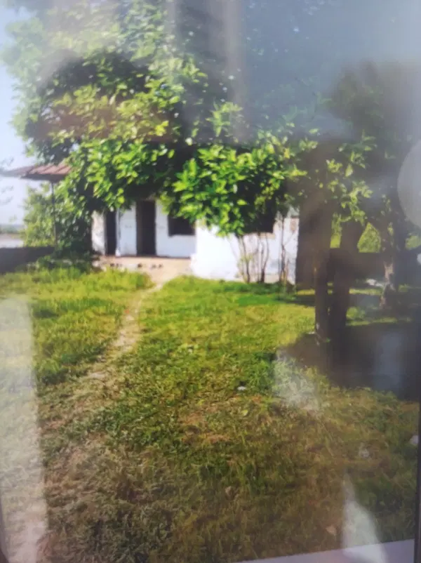 تصویر املاک 120010