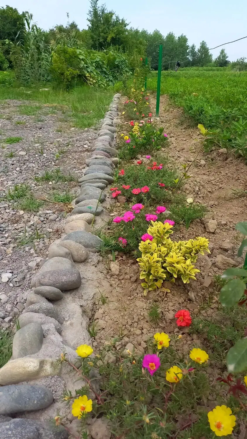 تصویر املاک 76013