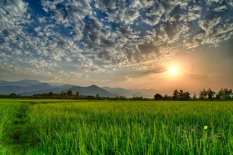 تصویر املاک 115852