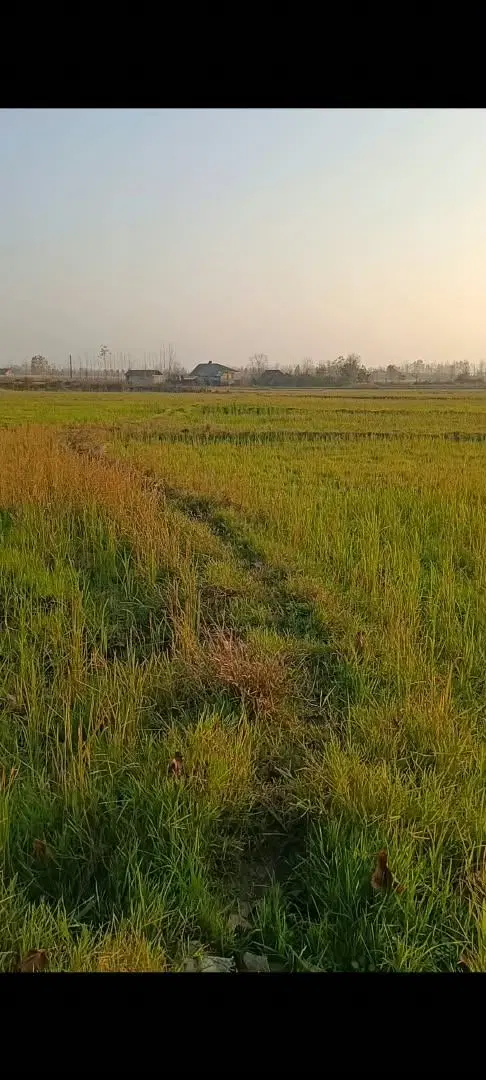 تصویر املاک 139591