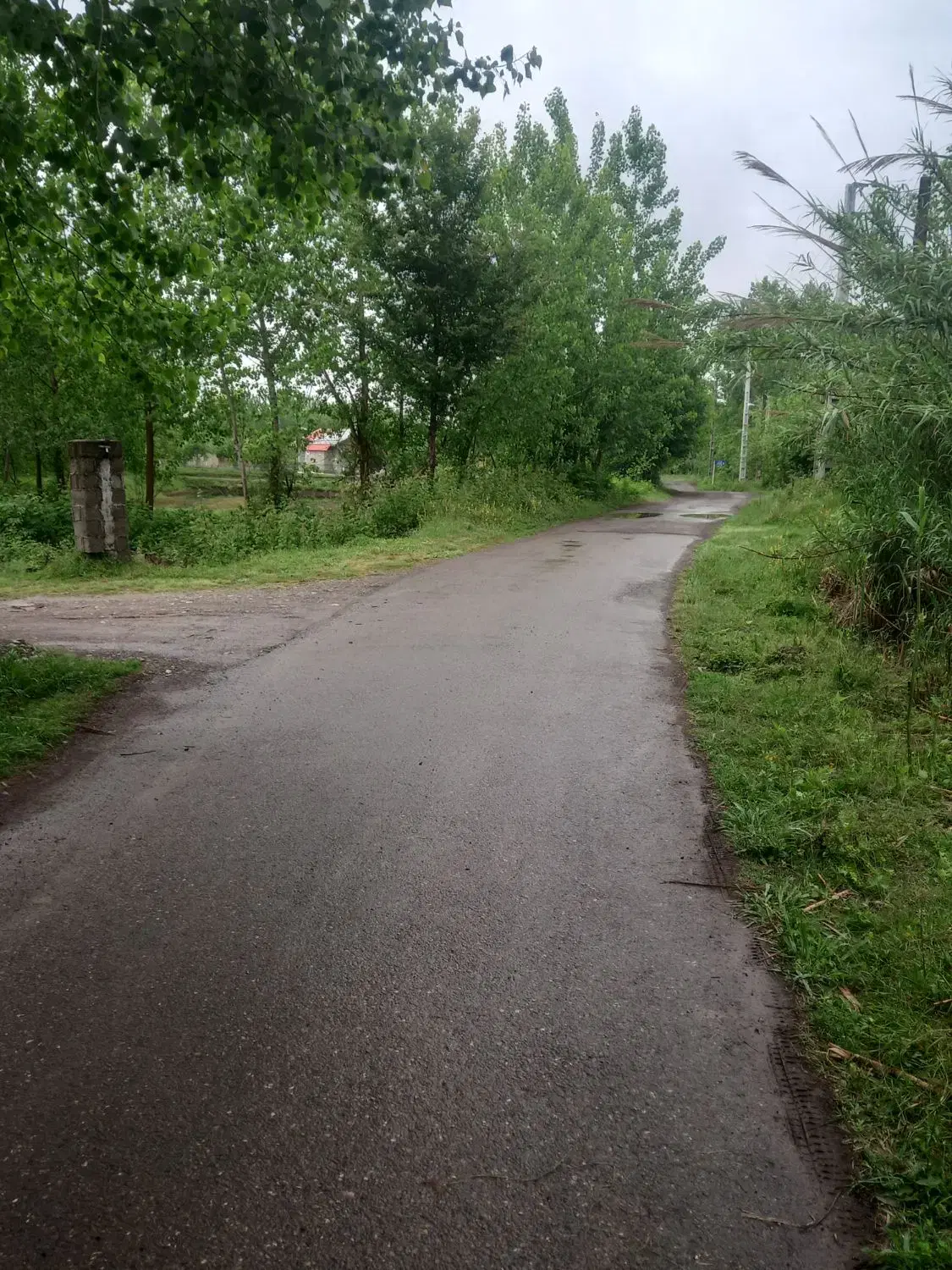 تصویر املاک 74746