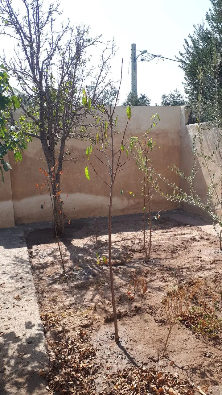 تصویر املاک 126440
