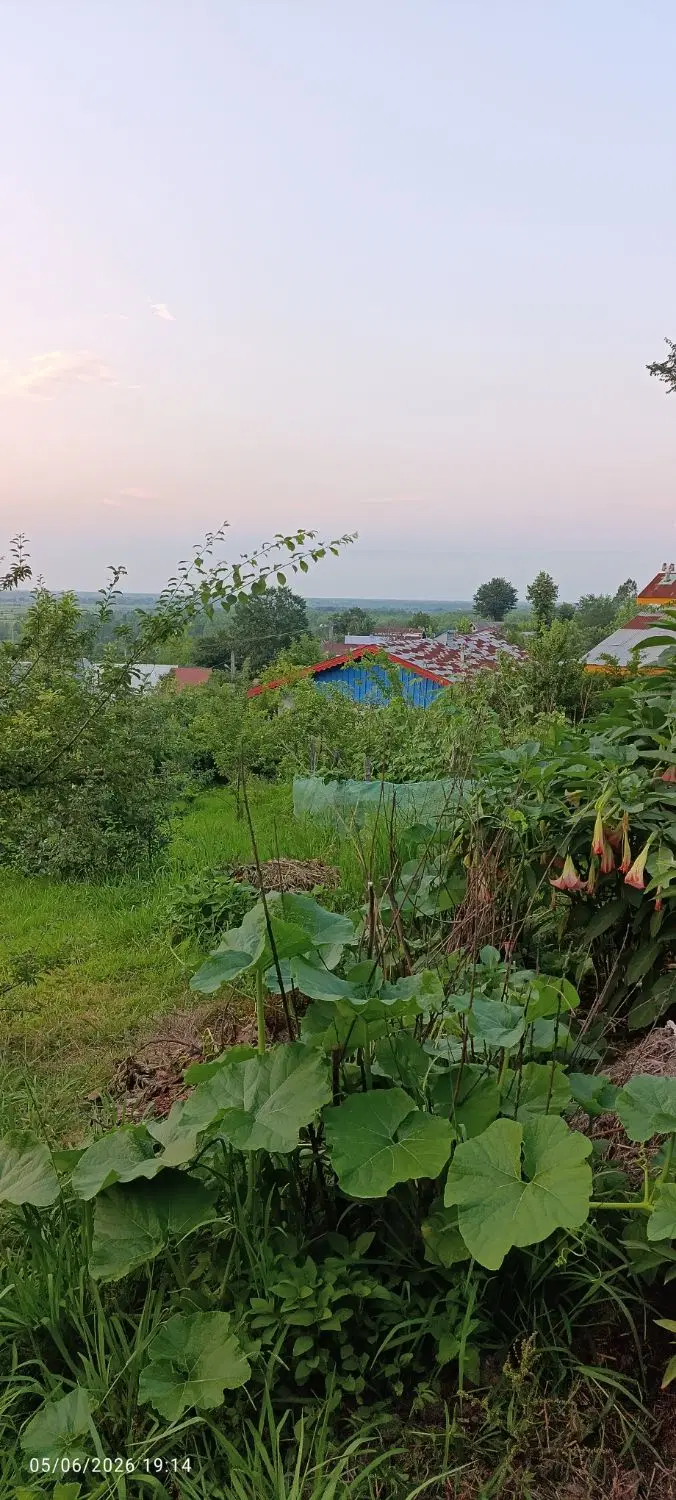 تصویر املاک 108265