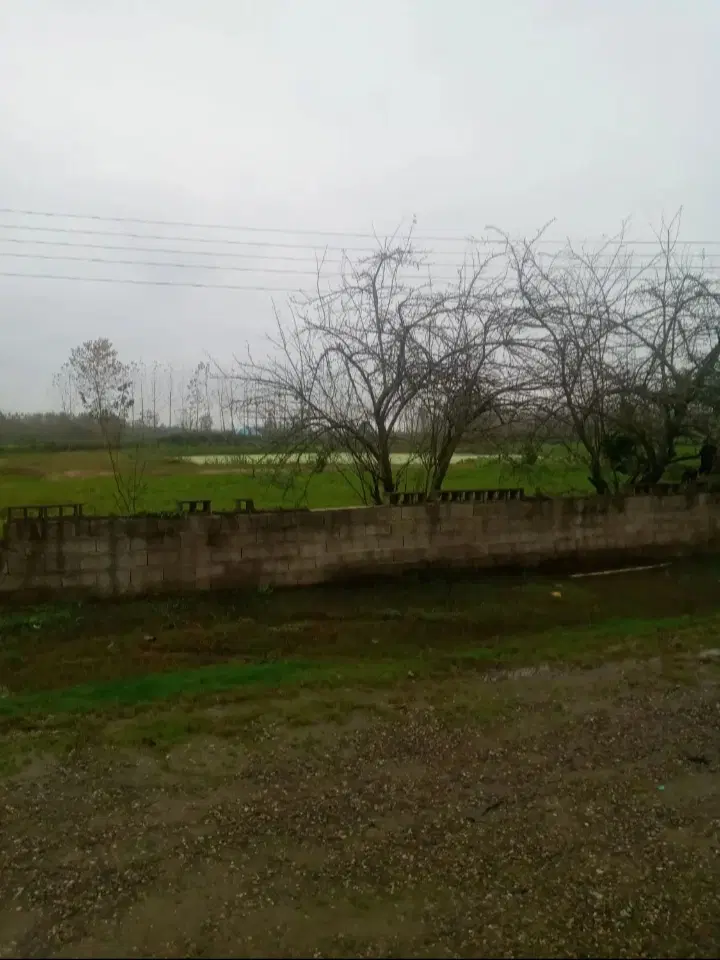 تصویر املاک 100082