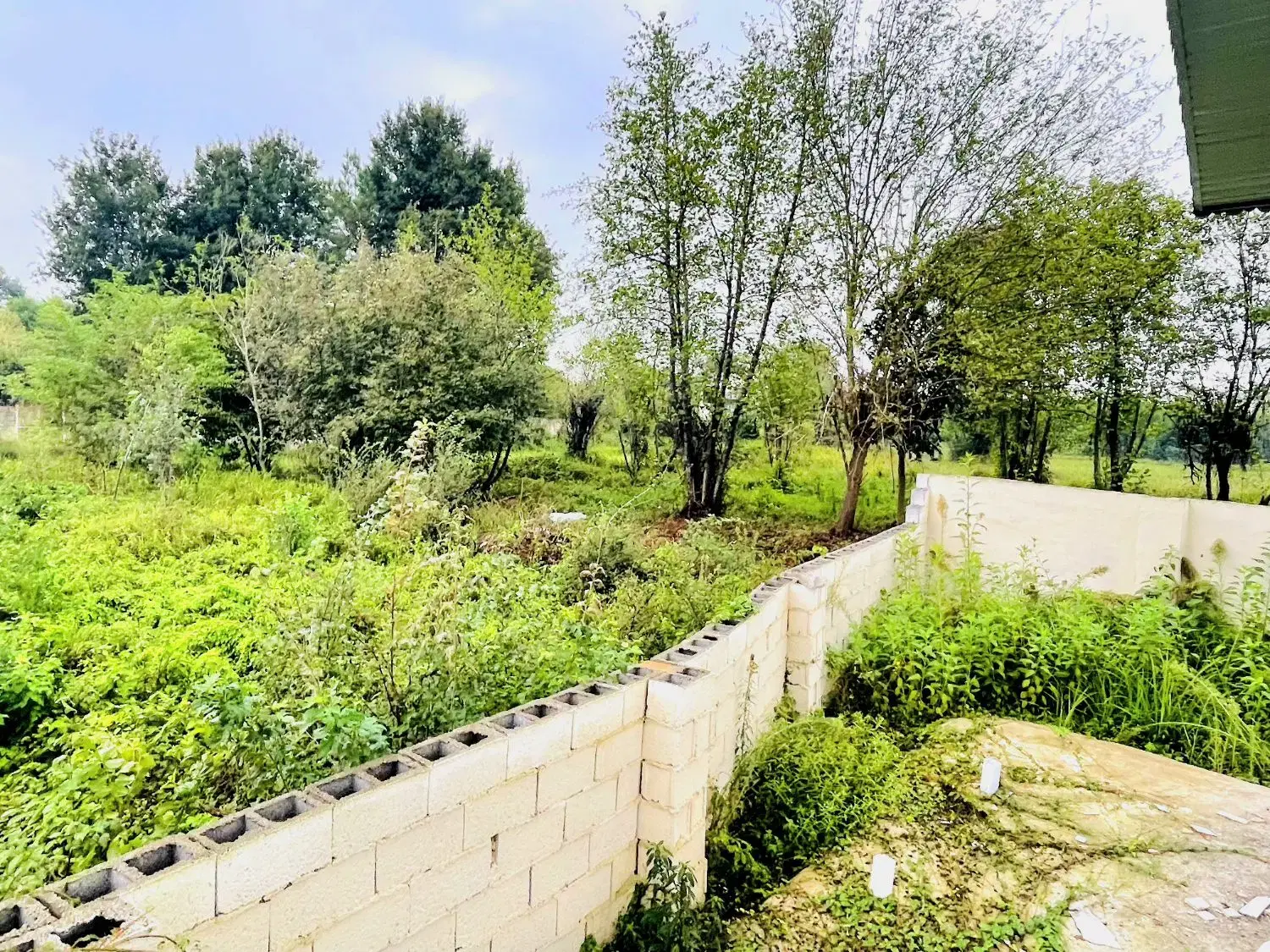 تصویر املاک 84113