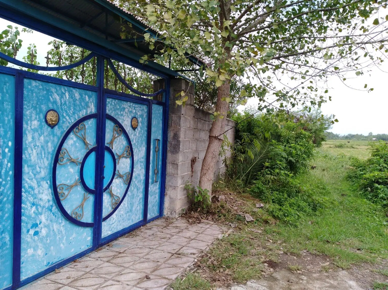 تصویر املاک 105802