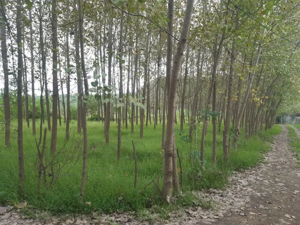 تصویر املاک 143029