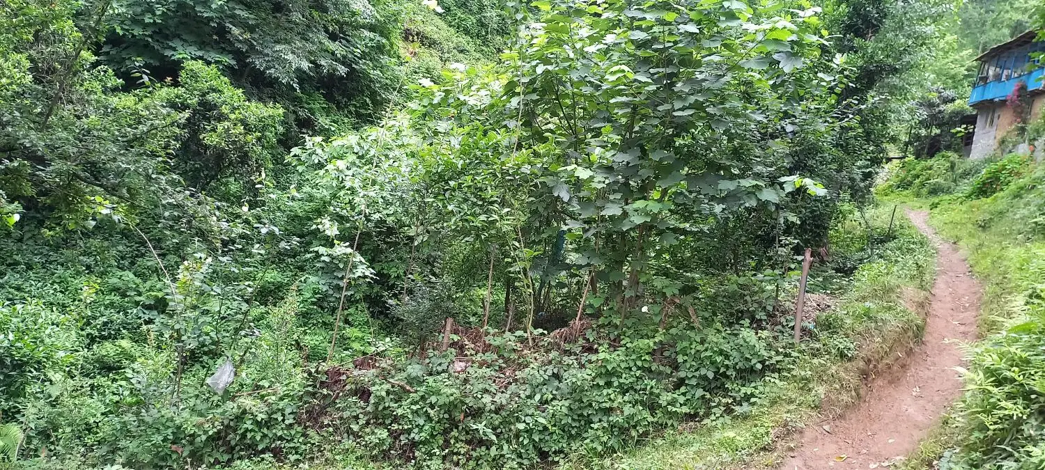 تصویر املاک 103851