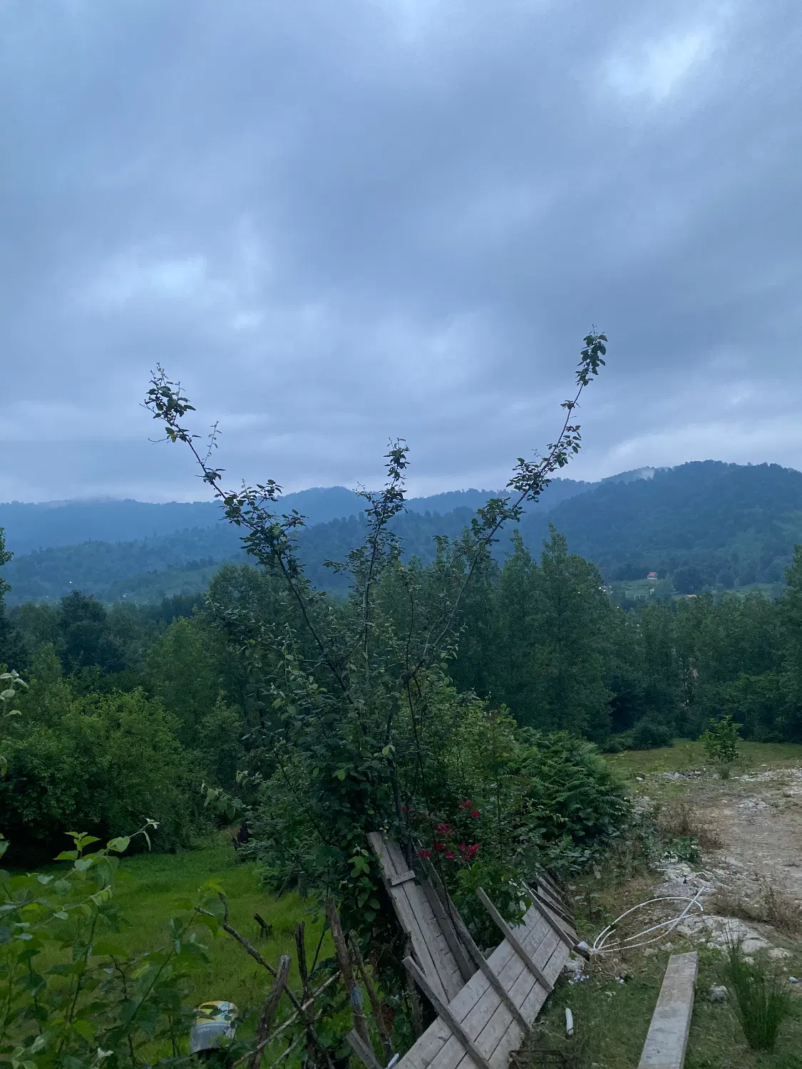 تصویر املاک 113061