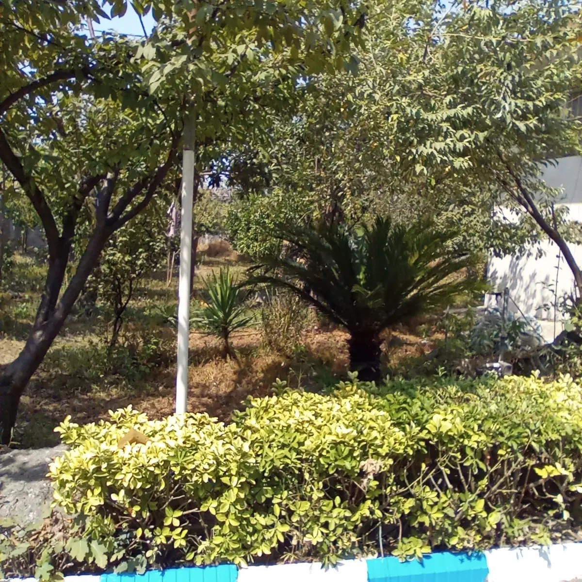تصویر املاک 112380