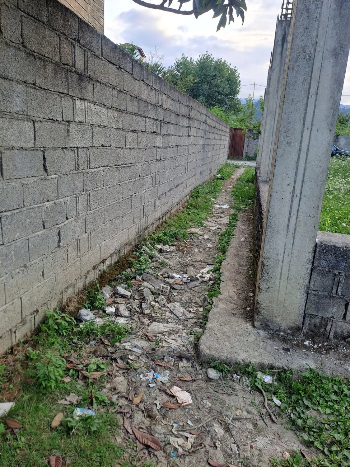تصویر املاک 71529