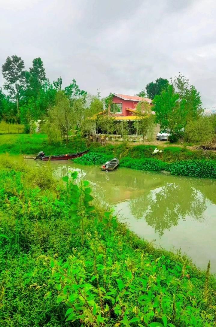 تصویر املاک 99742