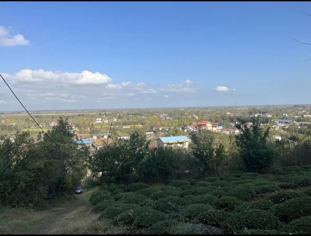 تصویر املاک 43804