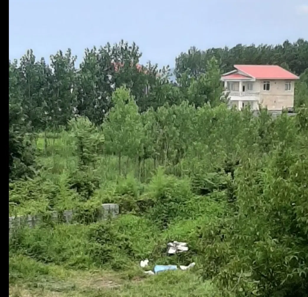 تصویر املاک 43477