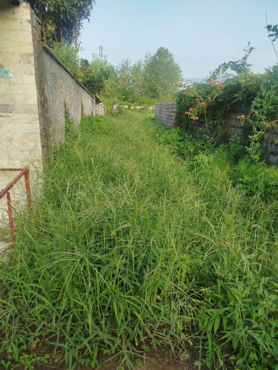 تصویر املاک 123157