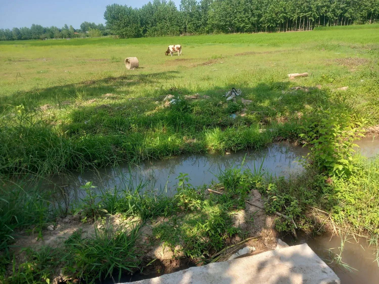 تصویر املاک 80842