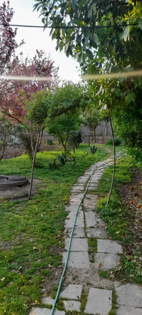 تصویر املاک 142386