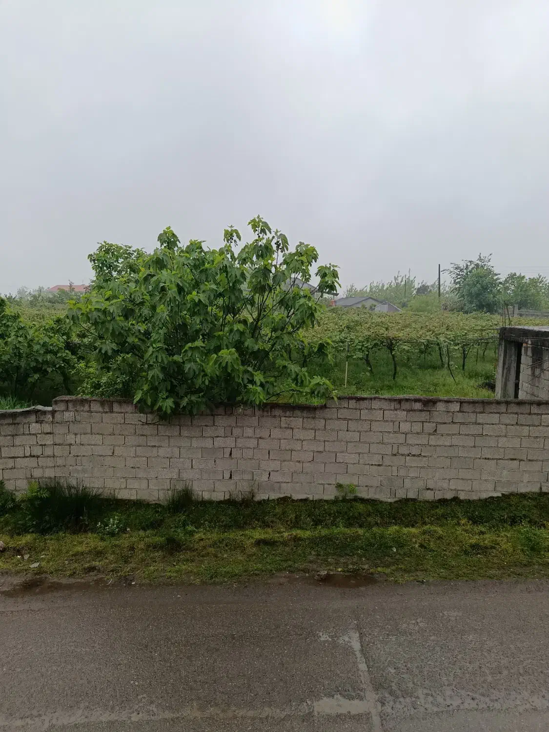 تصویر املاک 39973