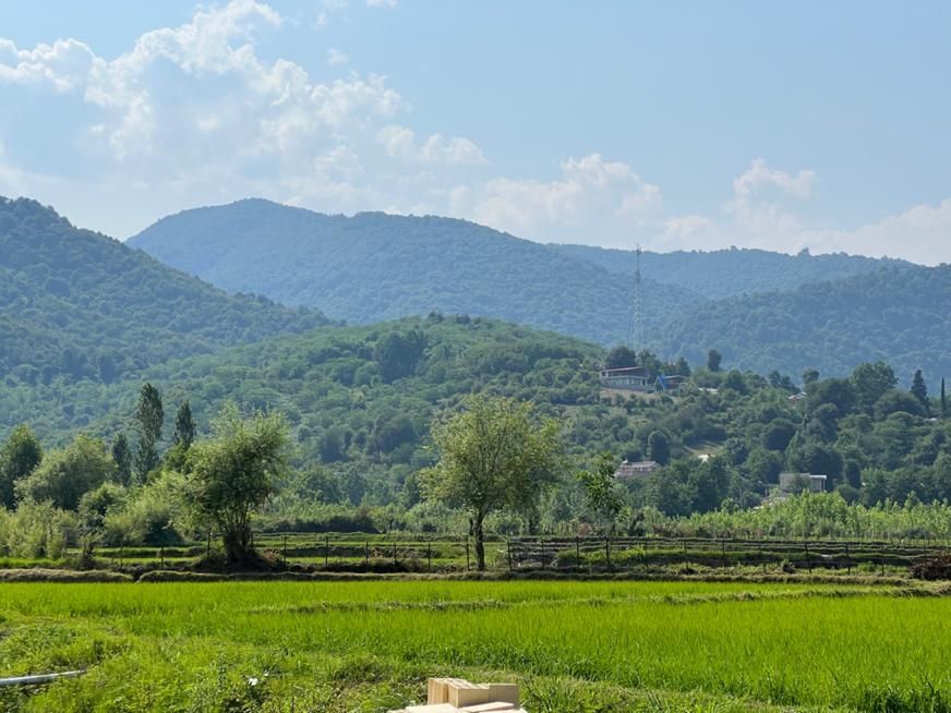 تصویر املاک 87884