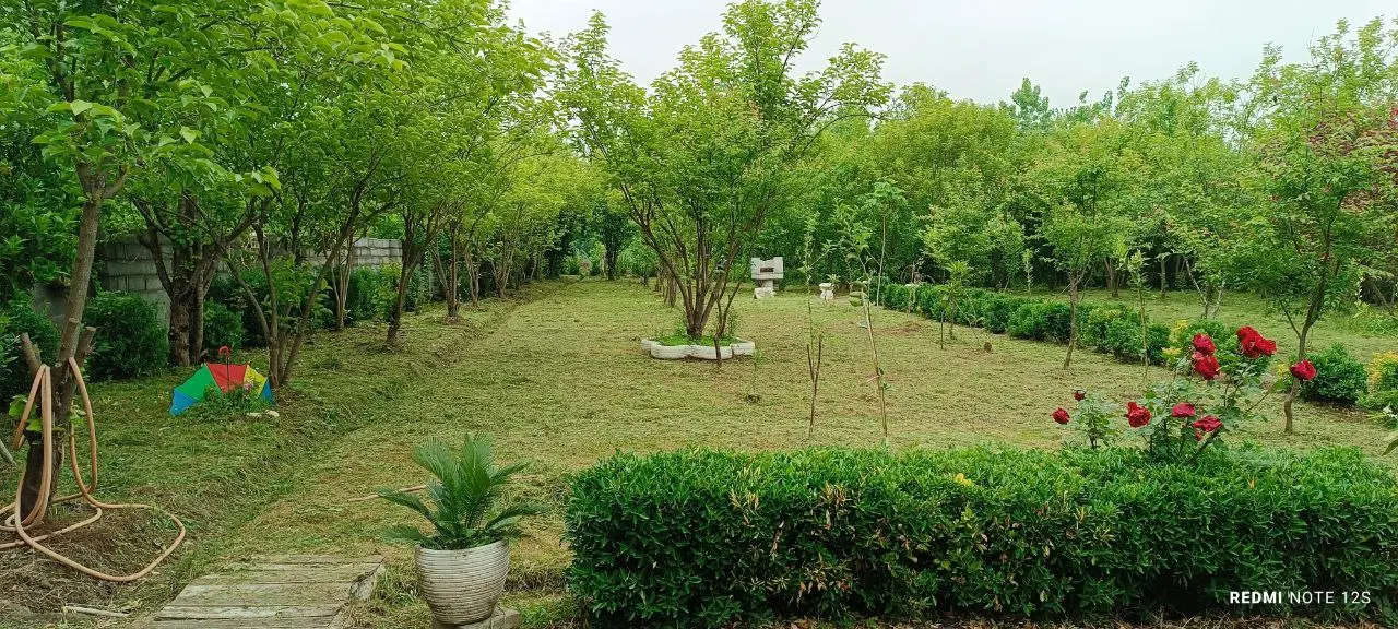 تصویر املاک 95514