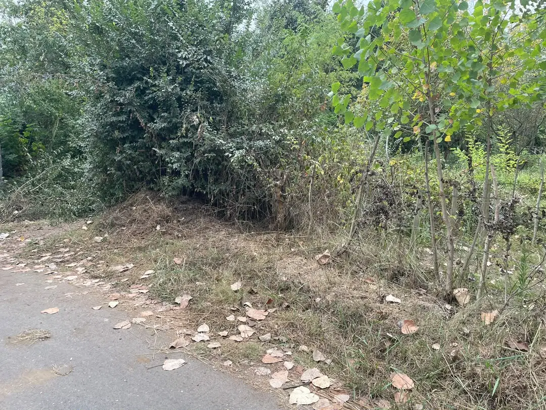 تصویر املاک 127709