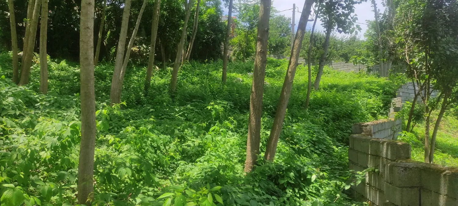 تصویر املاک 86917
