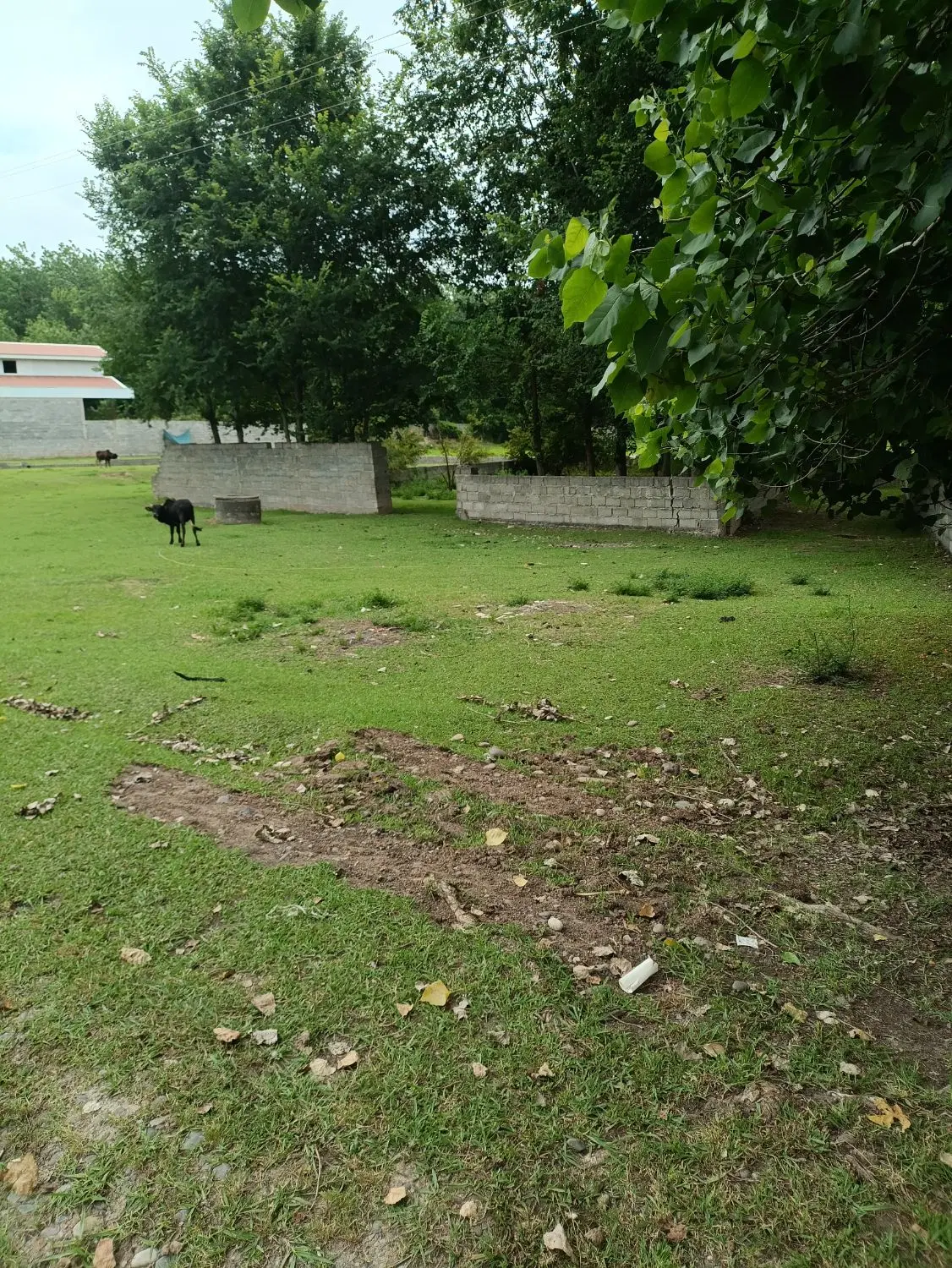 تصویر املاک 81923