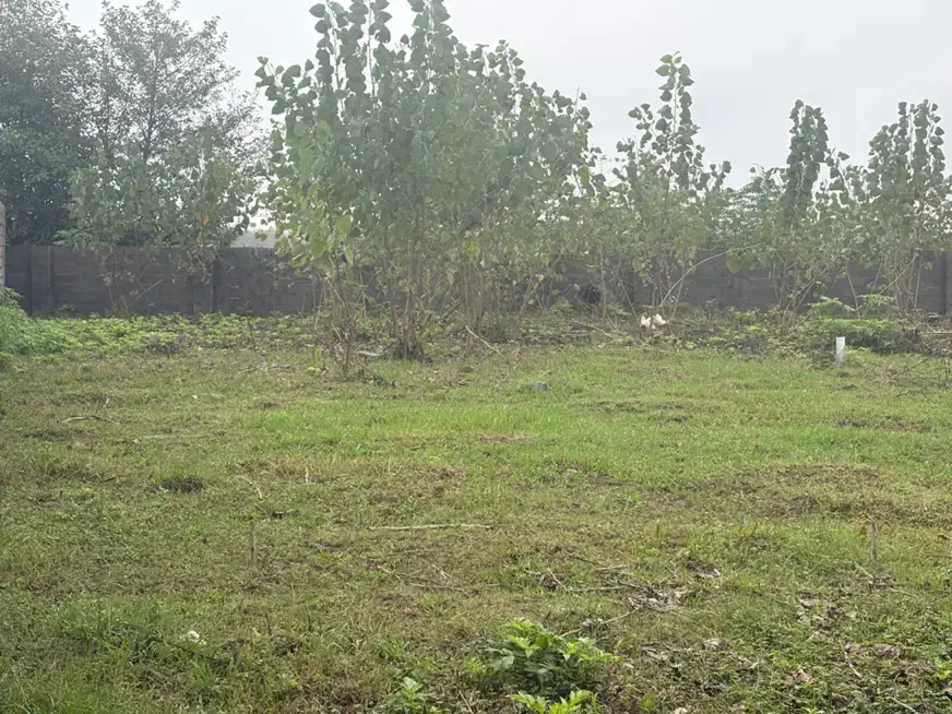 تصویر املاک 142421