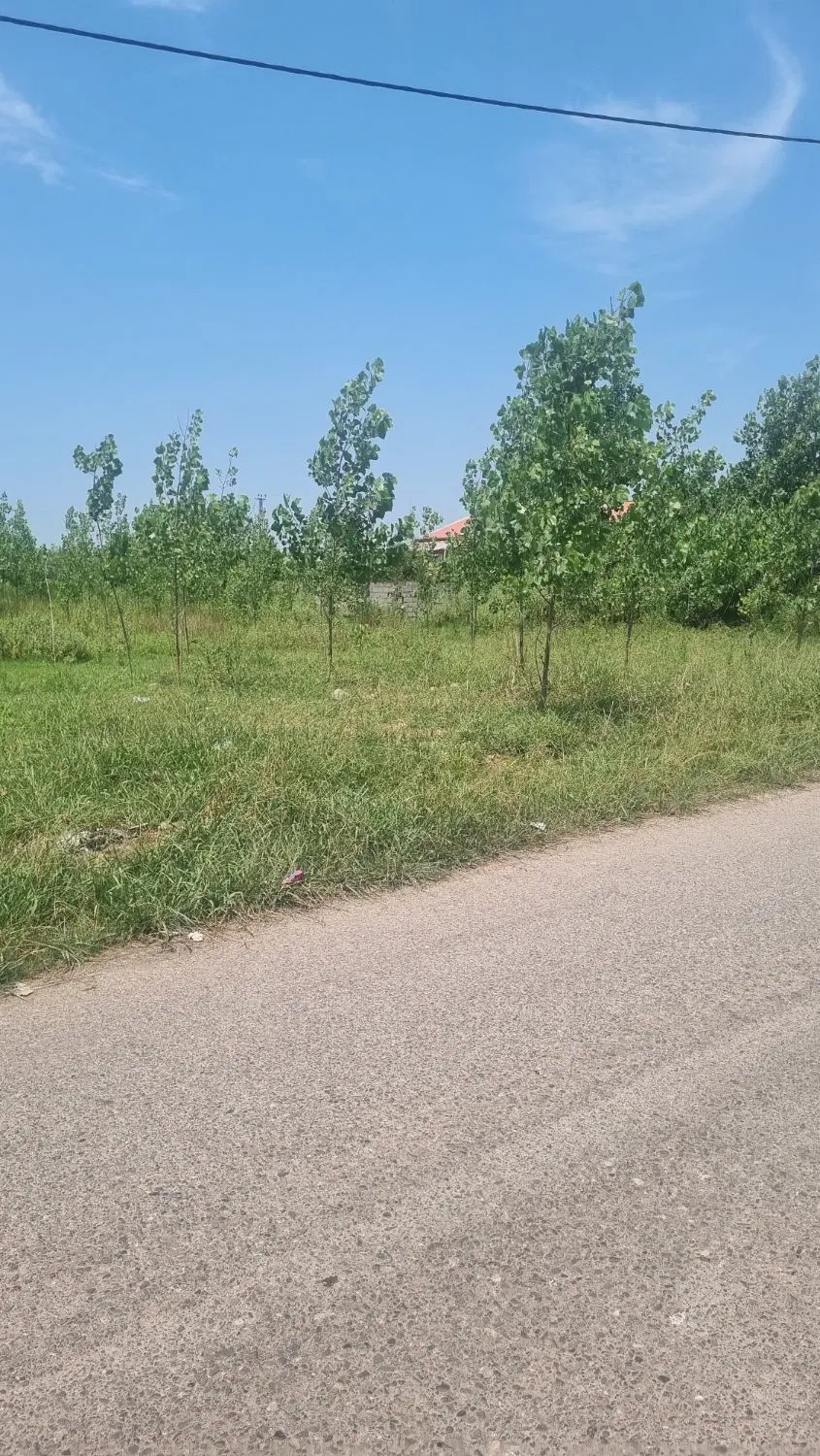 تصویر املاک 54426