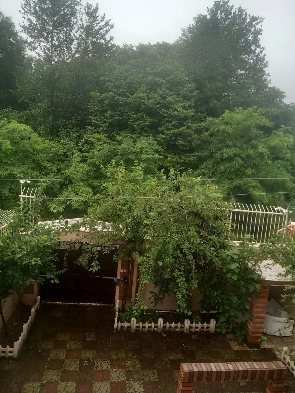 تصویر املاک 95848