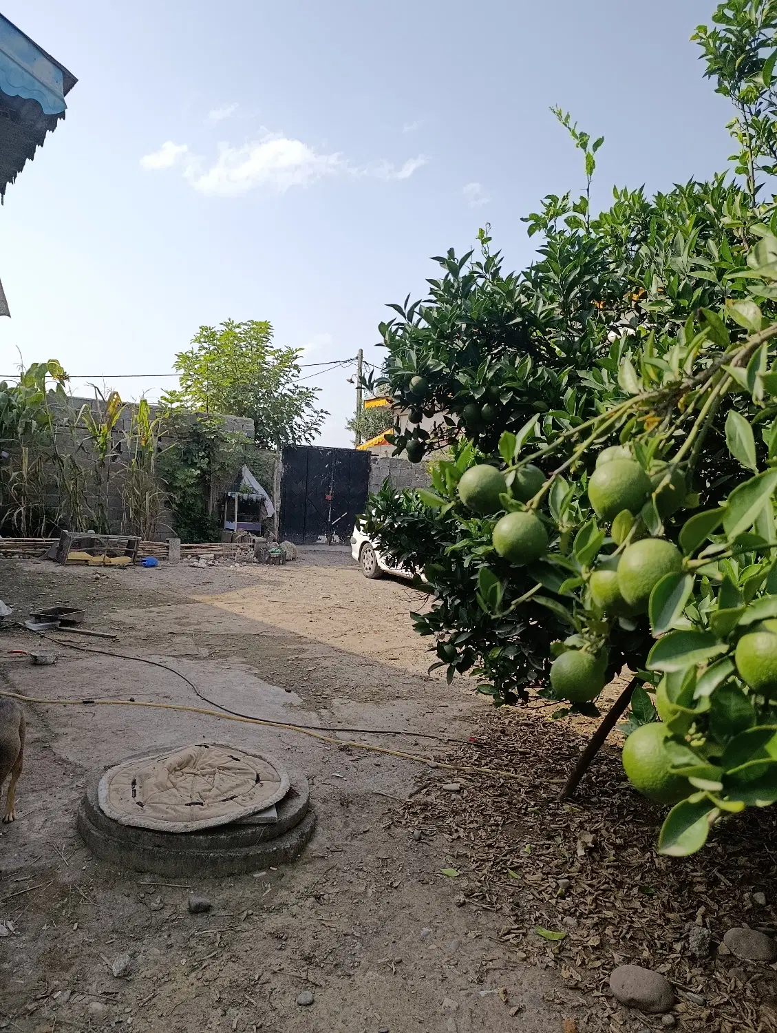 تصویر املاک 143721