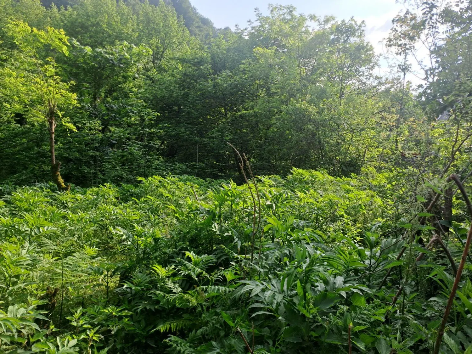 تصویر املاک 137211