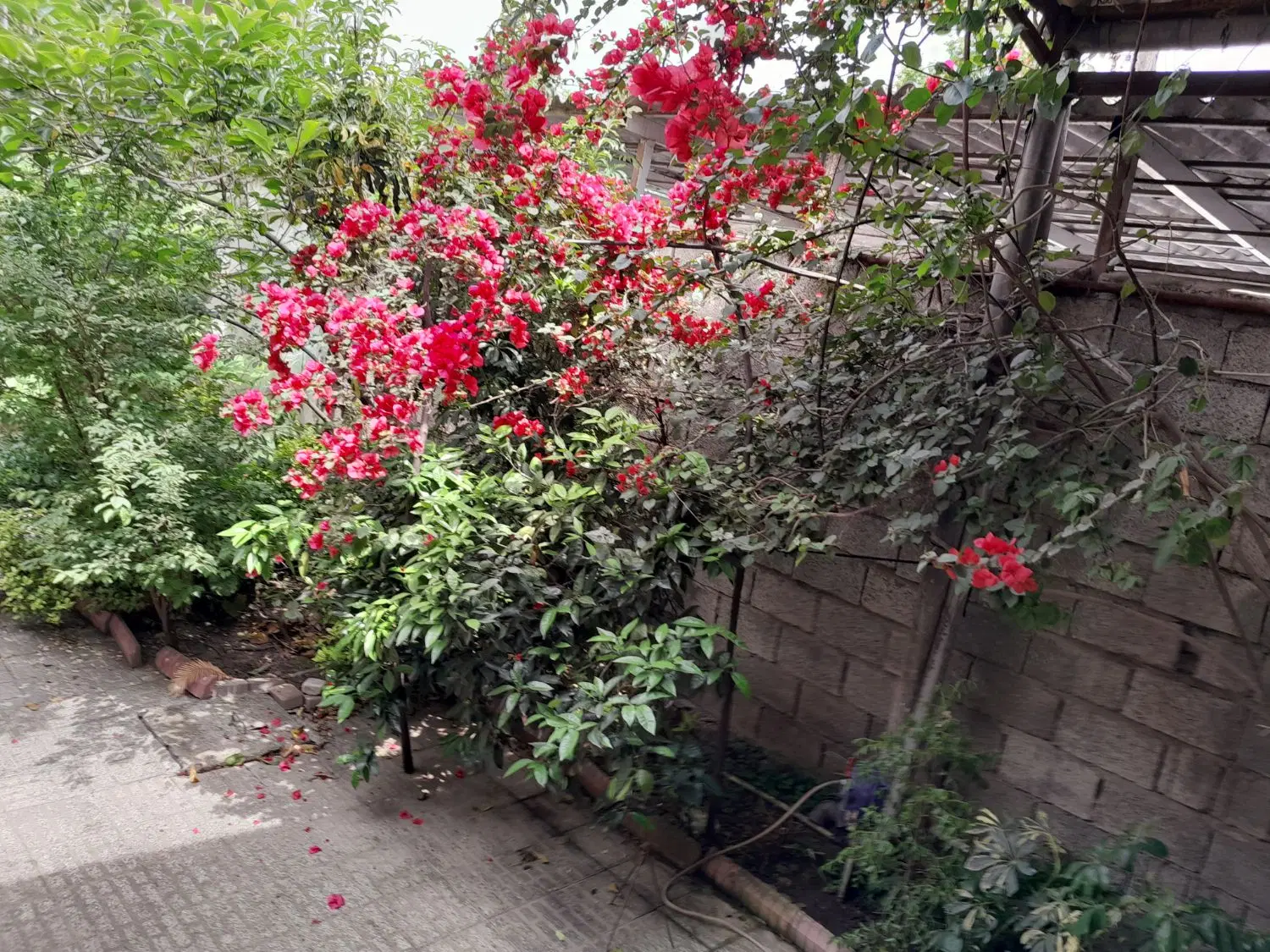 تصویر املاک 96127