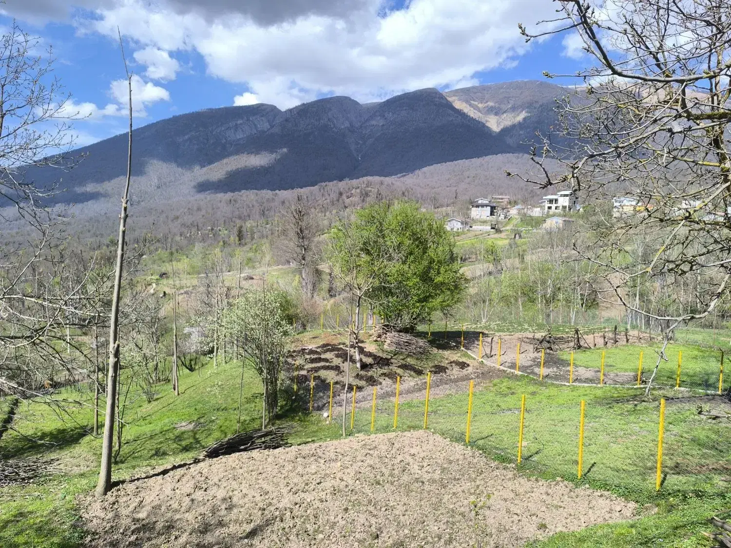 تصویر املاک 49469